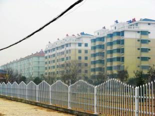 迁安PVC塑钢护栏 厂家直销，原生料生产，全国最低价